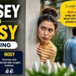 nosey or nosy meaning