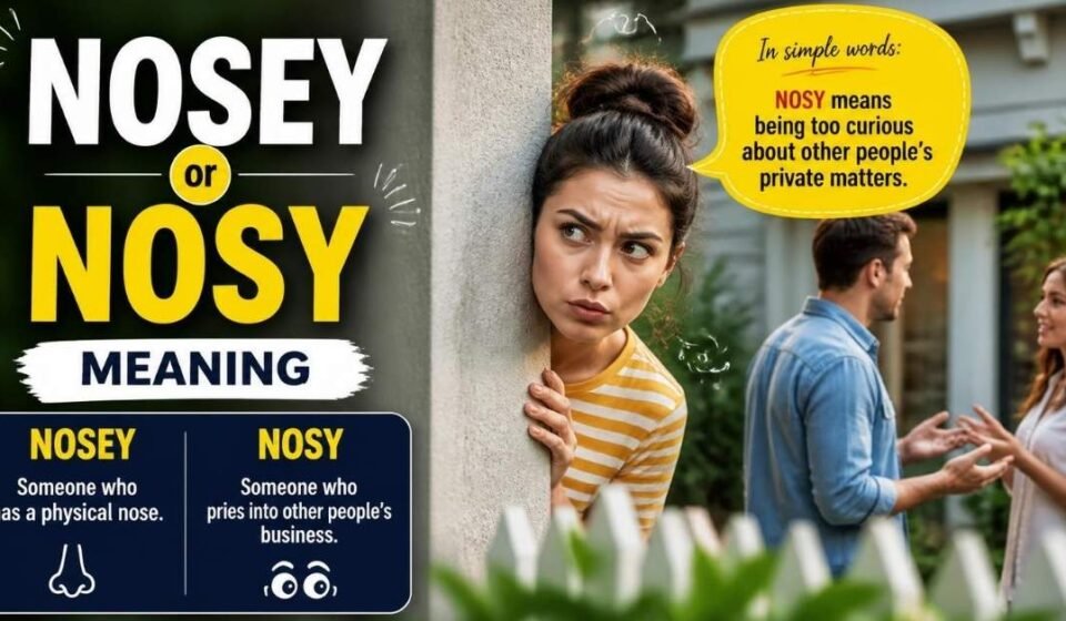 nosey or nosy meaning