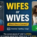 wifes or wives